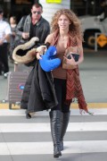 AnnaLynne McCord アナリン・マッコード